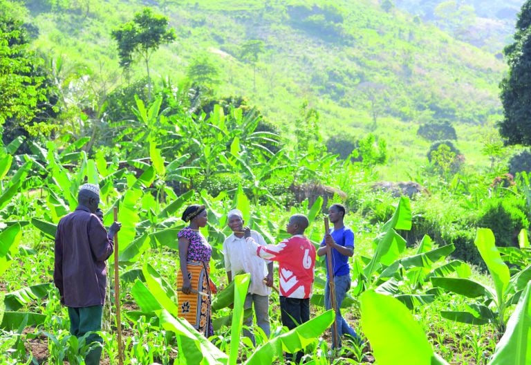 Climate Change and its Effects on Debt and Debt Management in African Countries