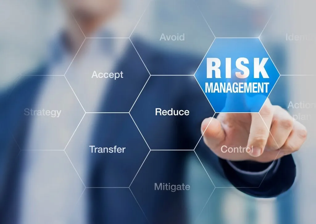 Strategic Thinking, Planning and Risk Management in the Public Sector